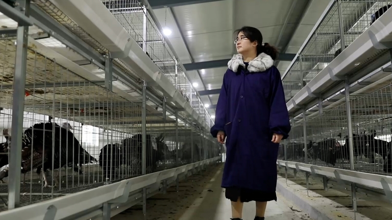 &ldquo;火凤凰&rdquo;鲁曼的乡村振兴梦