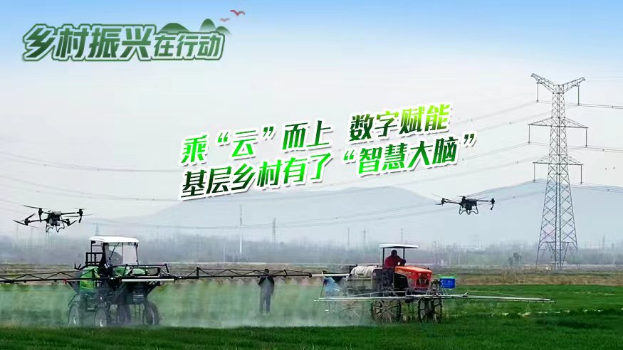 乡村振兴在行动丨乘&ldquo;云&rdquo;而上 数字赋能 基层乡村有了&ldquo;智慧大脑&rdquo;