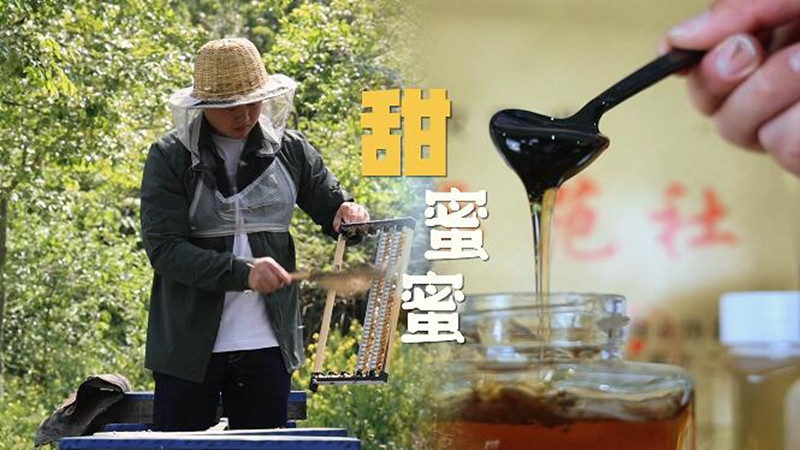 收获春日里的&ldquo;甜蜜蜜&rdquo;