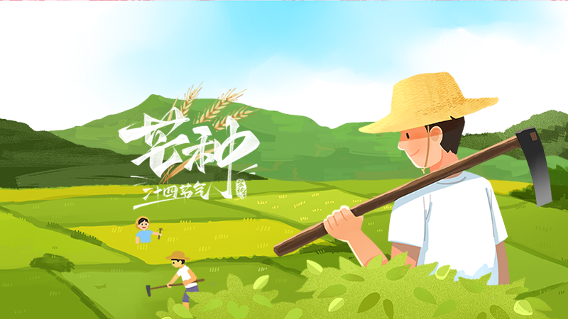 芒种，调阴阳，心不&ldquo;忙&rdquo;